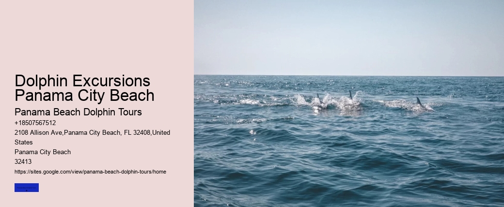 Dolphin Excursions Panama City Beach