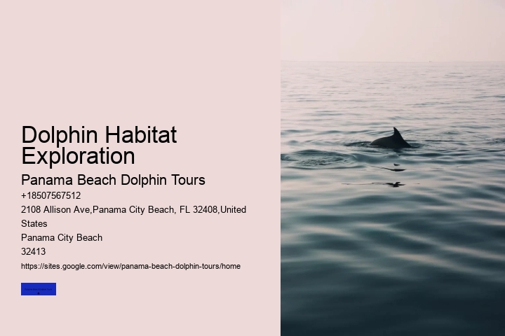 Dolphin Habitat Exploration
