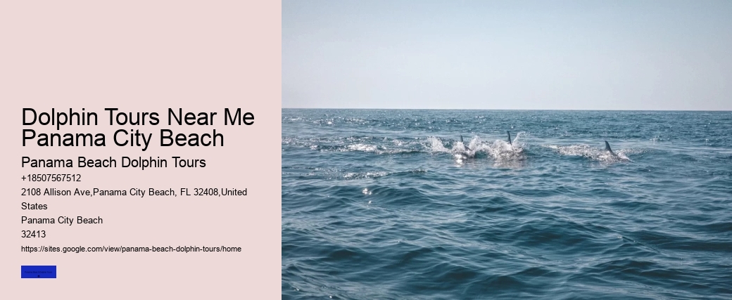 Dolphin Tours Near Me Panama City Beach