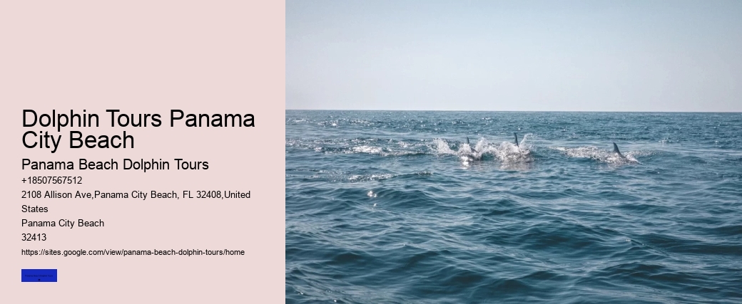 Dolphin Tours Panama City Beach