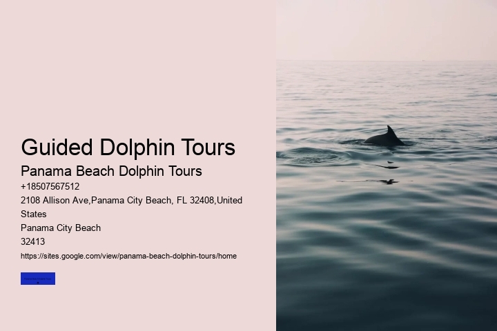 Guided Dolphin Tours