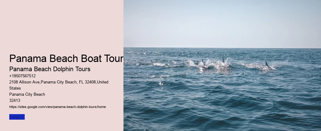 Panama Beach Boat Tours