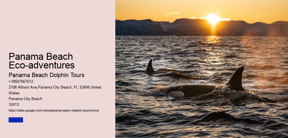 Panama Beach Eco-adventures