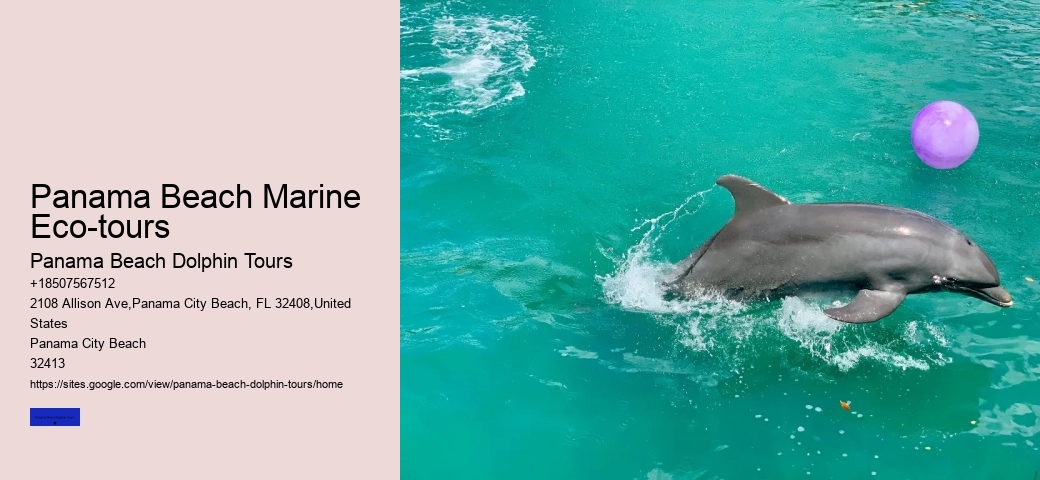 Dolphin Boat Tours Panama City Beach