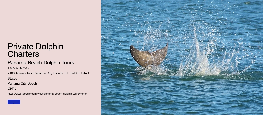 Private Dolphin Charters