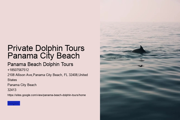 Private Dolphin Tours Panama City Beach