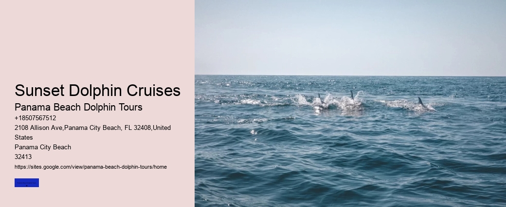 Dolphin-friendly Boat Trips