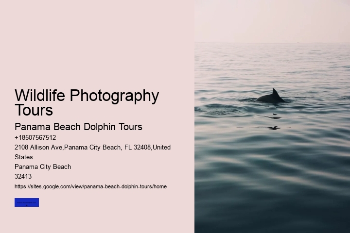 Wildlife Photography Tours