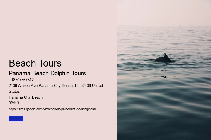 Beach Tours