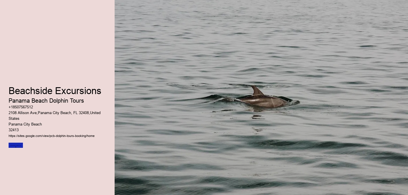 Beachside Excursions