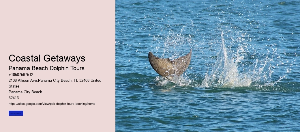 Is Dolphin Stadium Covered