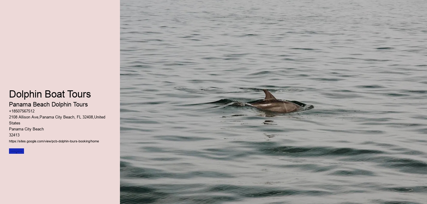 Dolphin Boat Tours