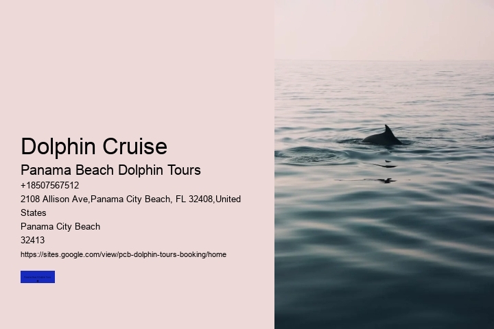Dolphin Cruise
