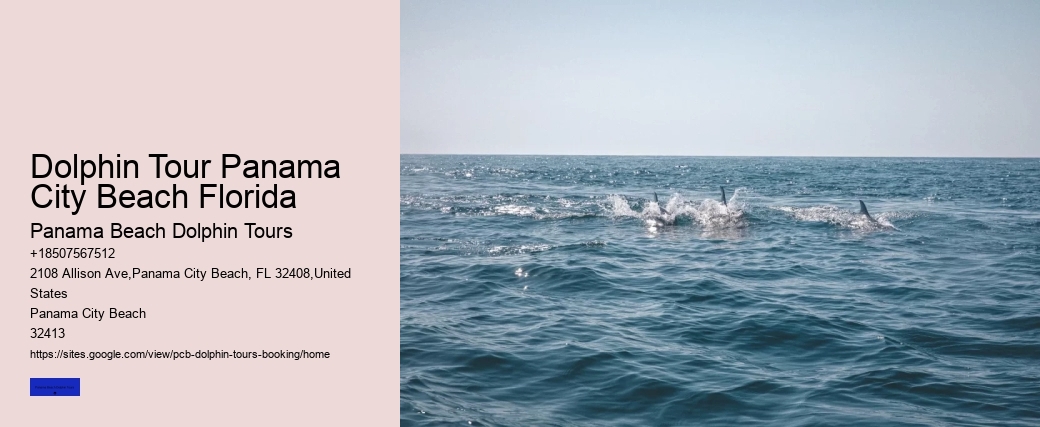 Dolphin Tour Panama City Beach Florida