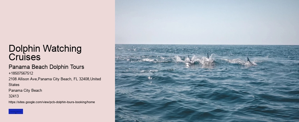 Dolphin Watching Cruises