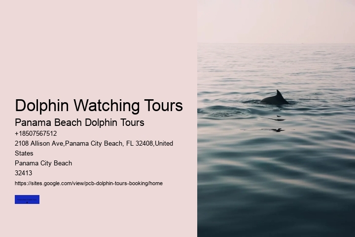 Dolphin Watching Tours