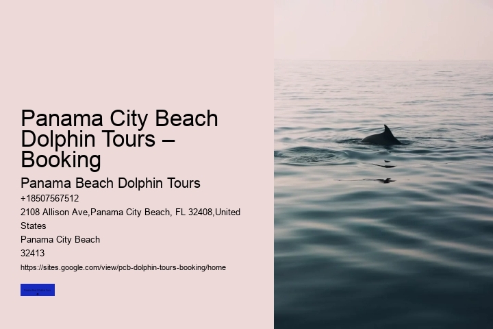 Panama City Beach Dolphin Tours – Booking