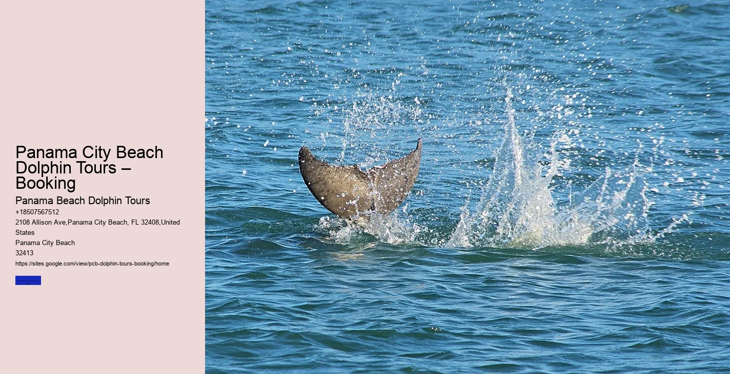 Shell Island Dolphin Tours Panama City Beach
