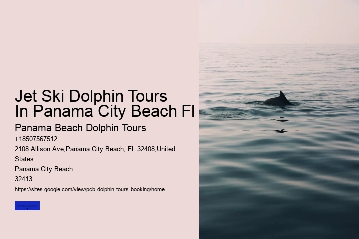 Jet Ski Dolphin Tours In Panama City Beach Fl