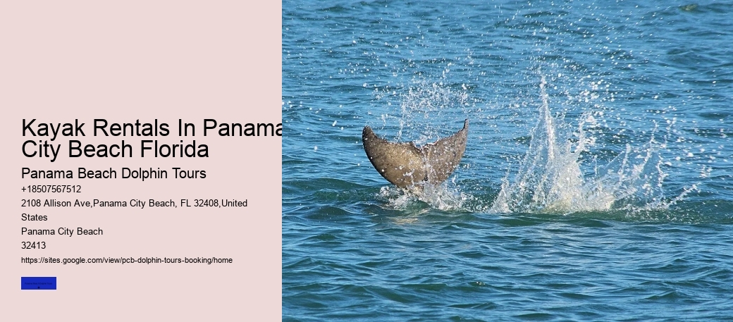 Kayak Rentals In Panama City Beach Florida