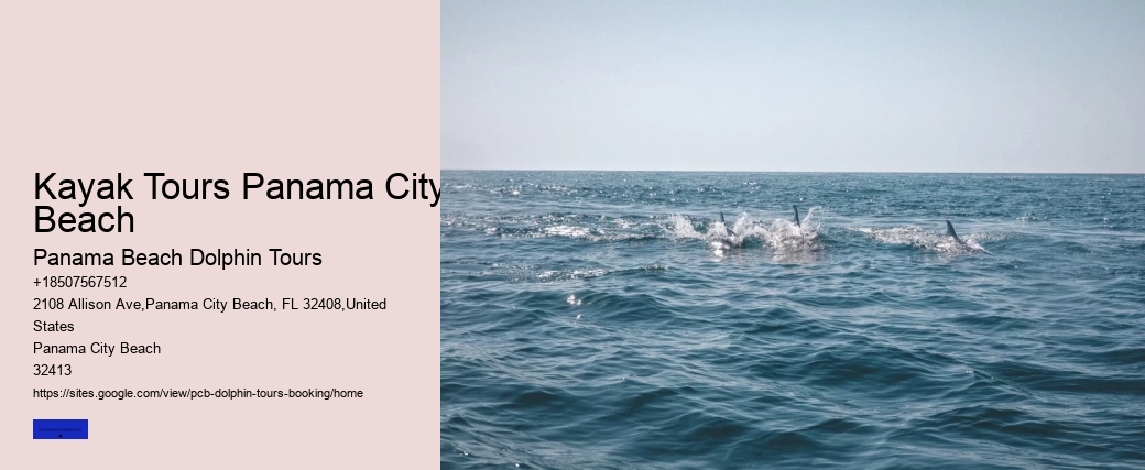 Panama City Beach Dolphin Tour