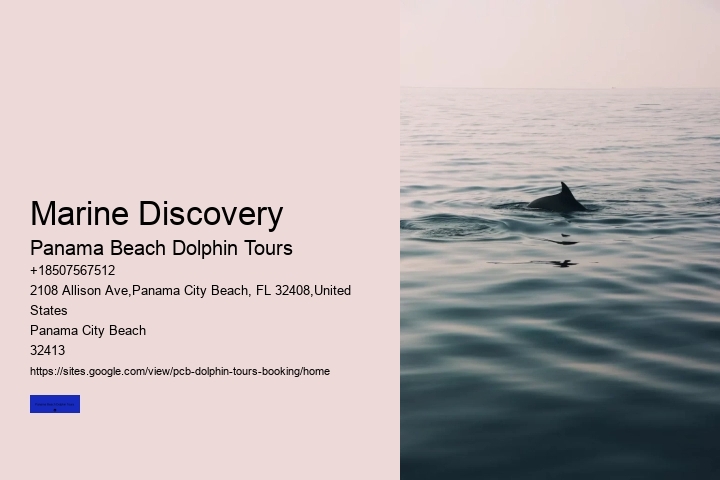 Marine Discovery