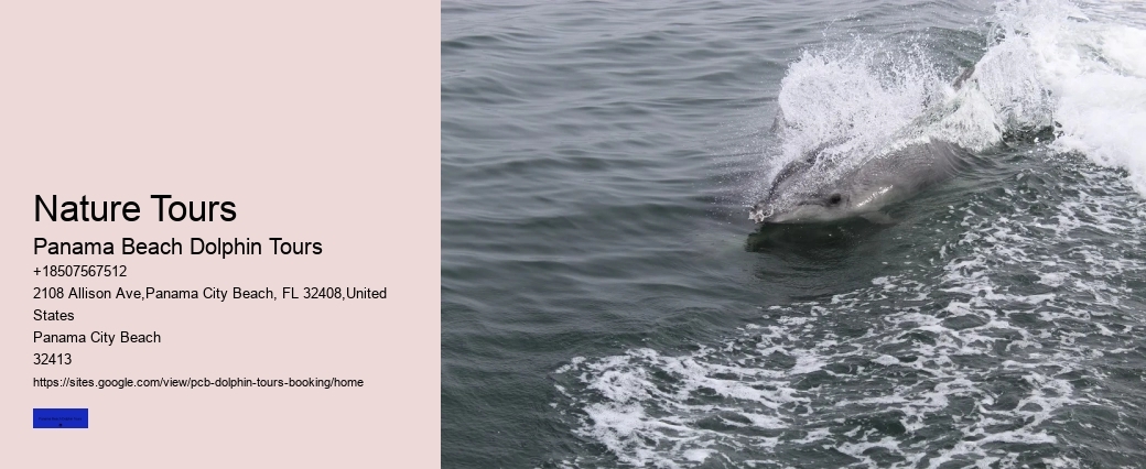 How Long Is The Ride To Shell Island