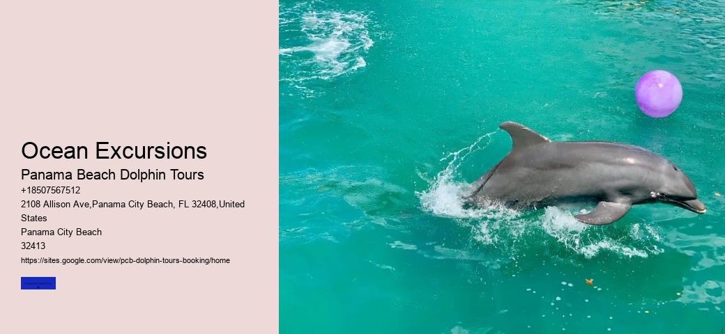 Why Can't You Wear Jewelry When Swimming With Dolphins