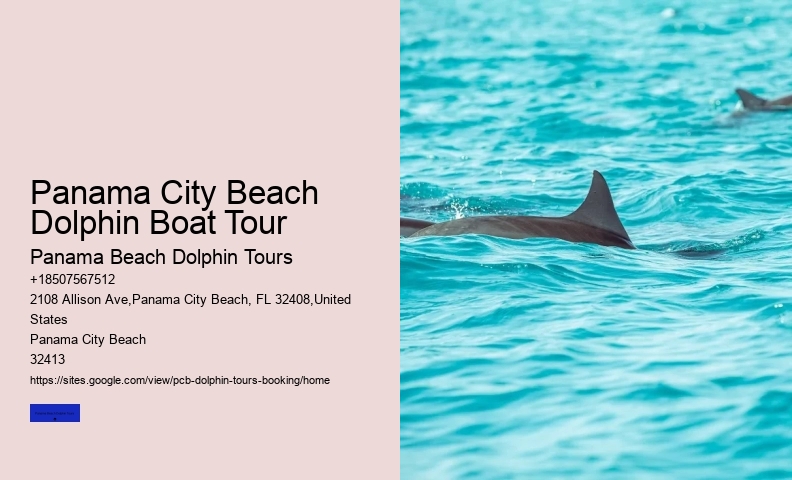 Which Beaches Have Dolphins