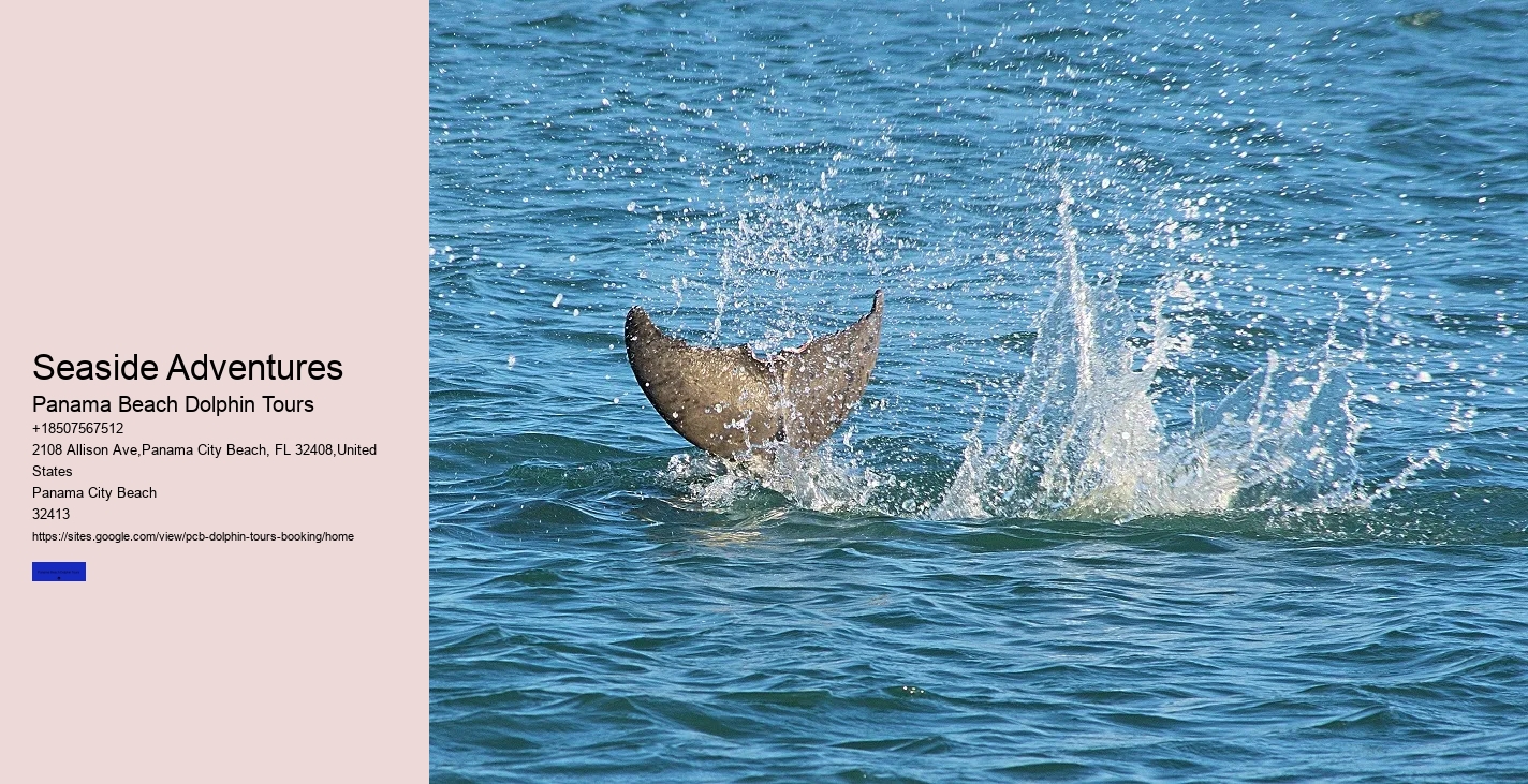 Panama City Beach Dolphin Sightseeing Tours