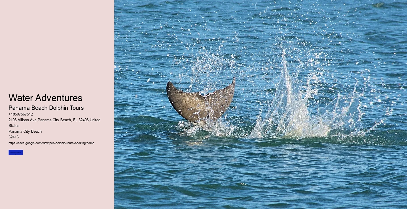 Is There A Weight Limit For Swimming With Dolphins