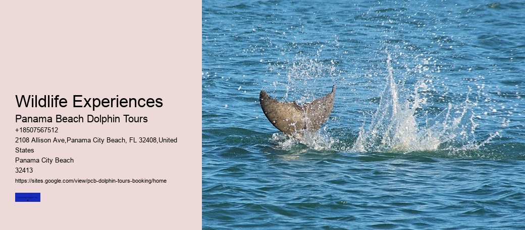 Wildlife Experiences