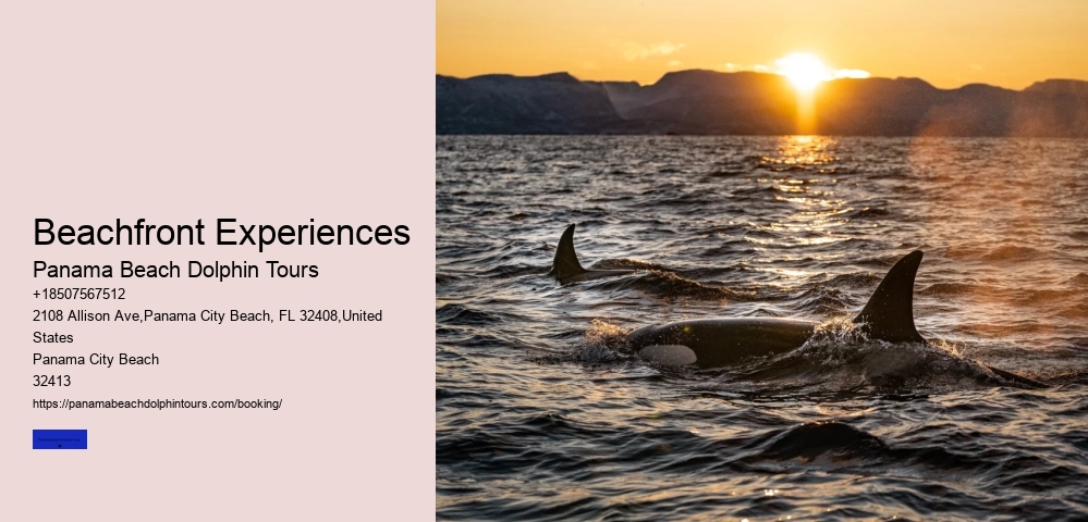 Beachfront Experiences