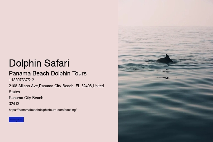Dolphin Safari