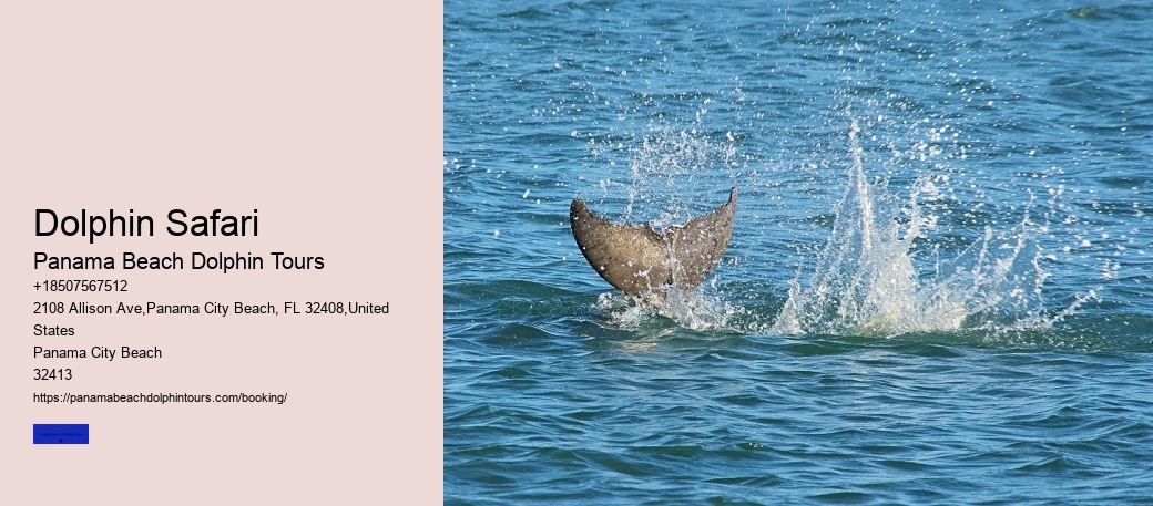 How Long Do Dolphins Live In The Wild And In Captivity