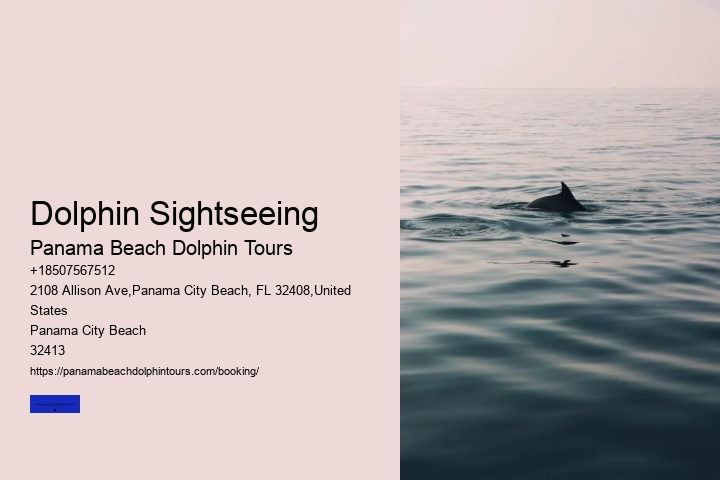 Dolphin Sightseeing