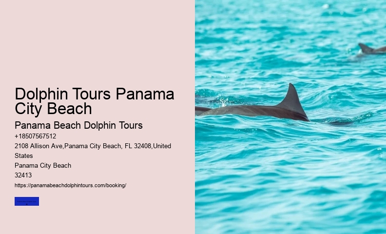 Panama City Beach Dolphin Tours Booking Cost