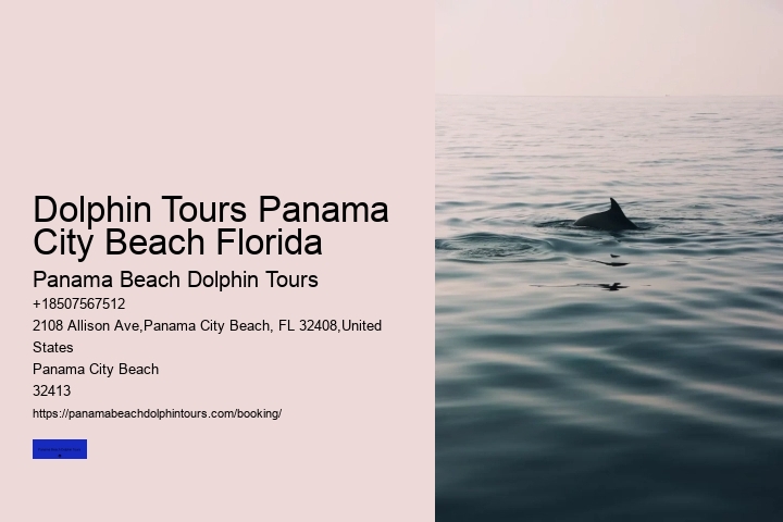 Dolphin Tours Panama City Beach Florida
