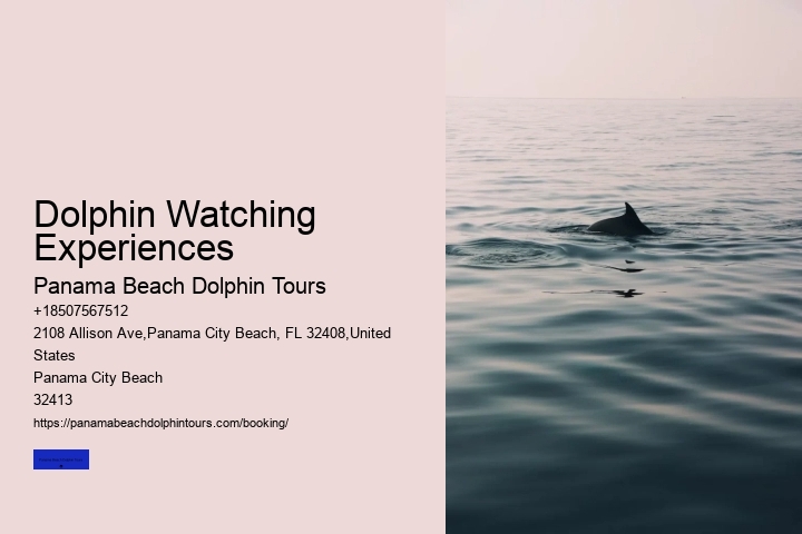Dolphin Watching Experiences