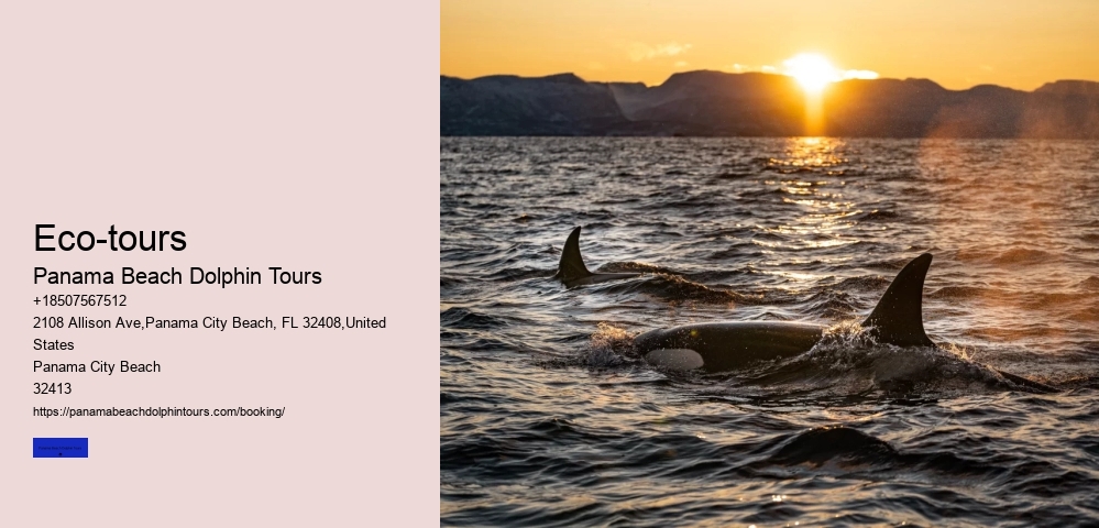 Eco-tours