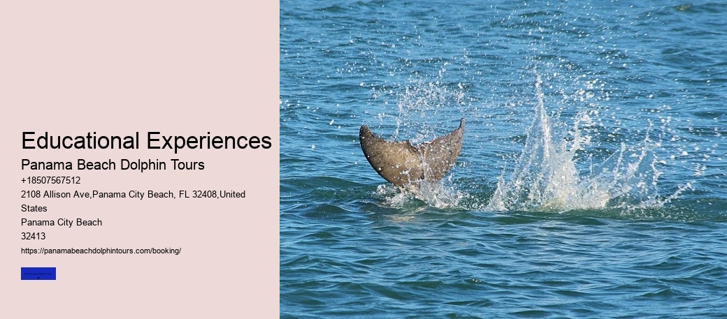 Educational Experiences