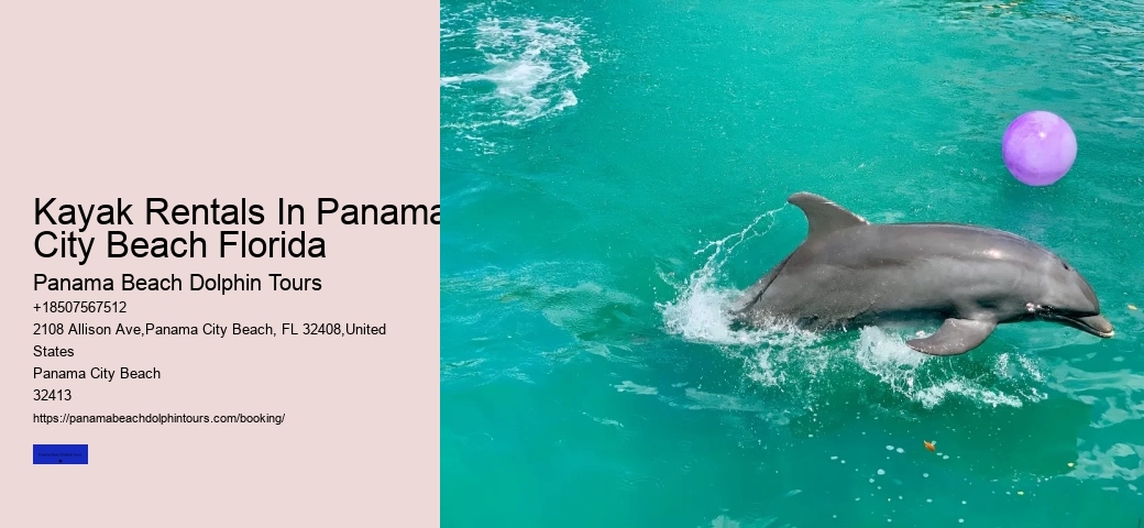 Swimming With Dolphins
