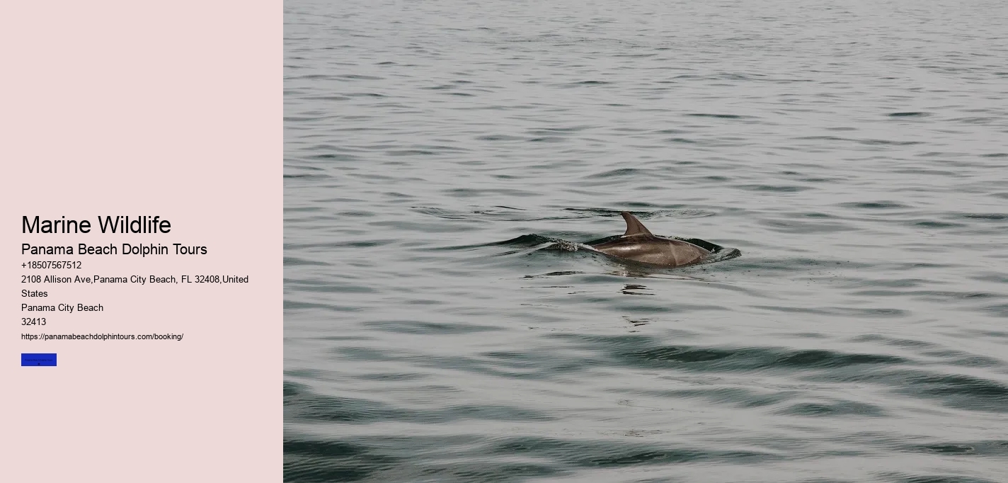 Marine Wildlife
