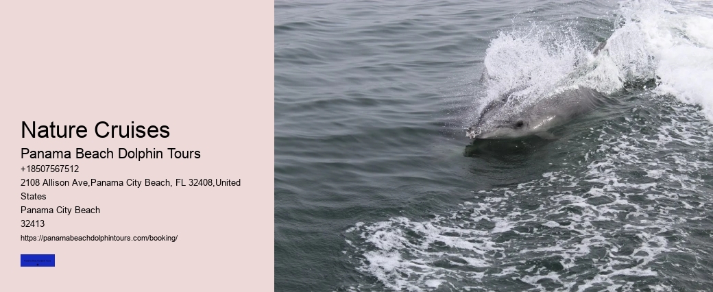 What Is The Lifespan Of A Dolphin In The Ocean