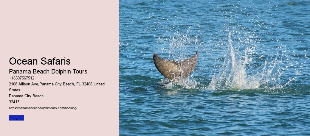 Ocean Safaris