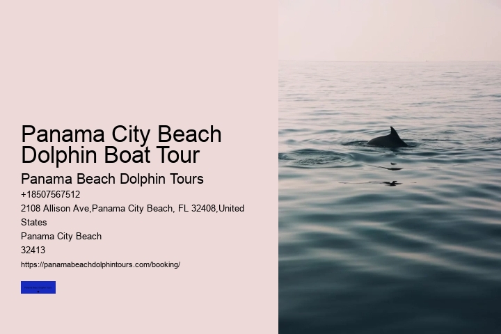 Panama City Beach Dolphin Boat Tour