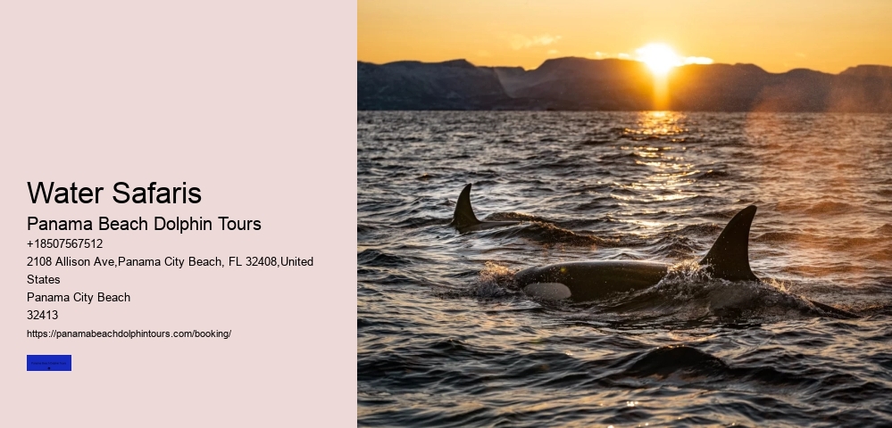 What Is The Age Limit Of A Dolphin