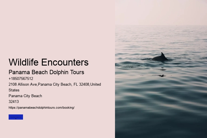 Wildlife Encounters